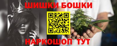 молекула духа Будённовск