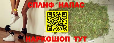 PSILOCYBIN Бугуруслан
