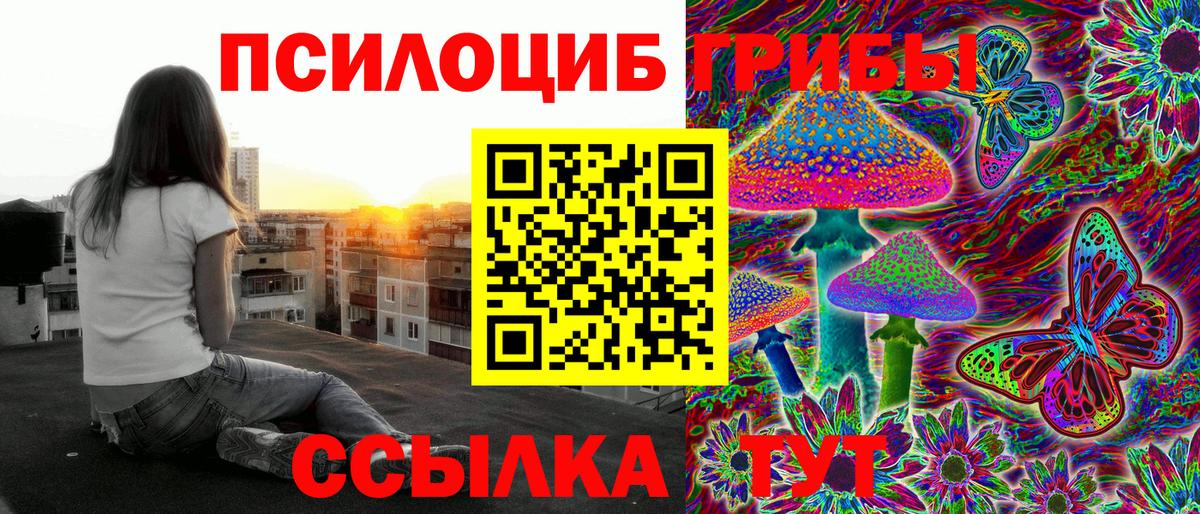 Курган  Псилоцибиновые грибы GOLDEN TEACHER  Вход с VPN 