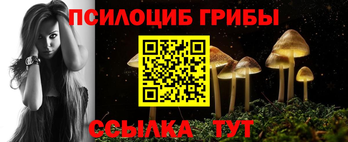 Псилоцибиновые грибы MAGIC MUSHROOMS Курган